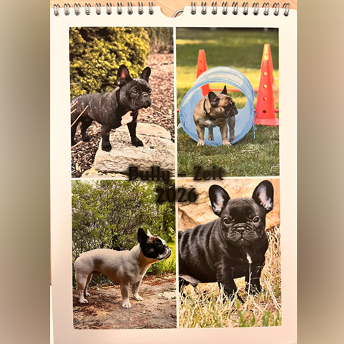 Weihnachtsfeier der LG Süd